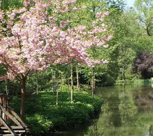 Sárvári Arborétum - A kivételesen szép természeti környezetben található arborétum páratlan természeti élményt nyújt a l...